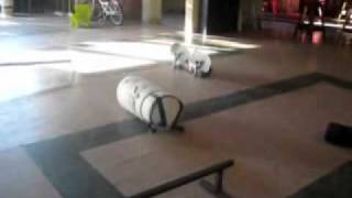 city need skateboarding christopher piche chad grenier part