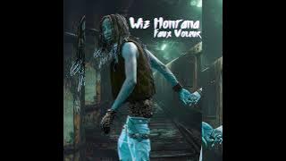 WIZ MONTANA - FAUX VOLEUR