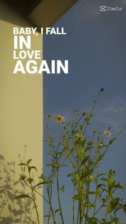 Niki-Every Summertime