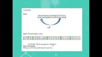 CS204 Assigment 2 Solved