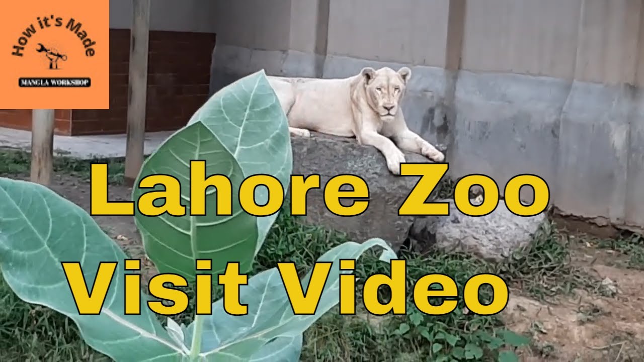 Lahore Zoo Complete Tour Lahore Zoo Visit Video how it's made YouTube