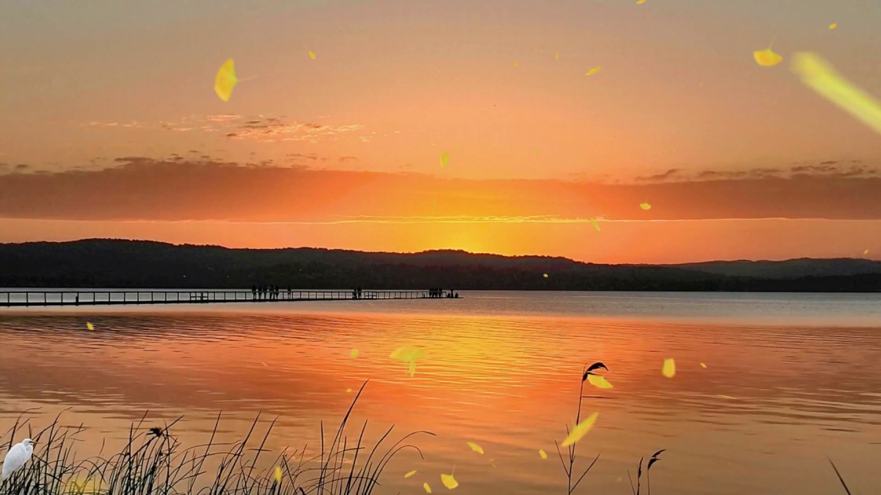 Bryn Terfel Homeward Bound Just Because I Love The Song YouTube