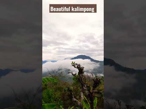 וִידֵאוֹ: Kalimpong, מערב בנגל: המדריך השלם