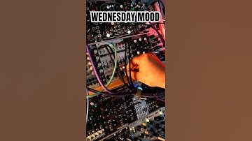 Playing with the 4MS ENSEMBLE OSCILLATOR, INTELLIJEL SEALEGS, QU-BIT NAUTILUS & FX AID #Ambient