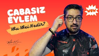 Wu Wei Felsefesi Çabasız Eylemin Gücü