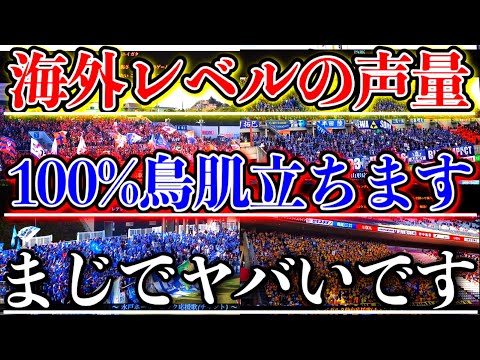 【Jリーグ】海外レベルの声量『チャント』10選