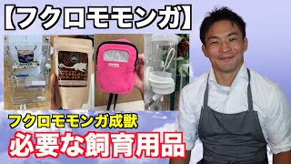 【フクロモモンガ】成獣に必要な飼育用品