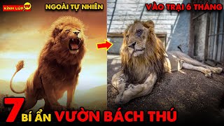 🔥 7 Bí Ẩn Ly Kỳ và Thú Vị Về Vườn Bách Thú Mà 99% Mọi Người Không Biết | Kính Lúp TV