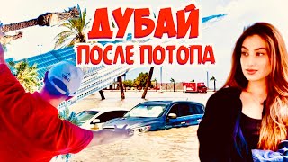 Дубай 2024 | Как выжить в Дубае без денег