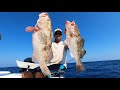 Offshore Solo Trip!  BIG Red Grouper!