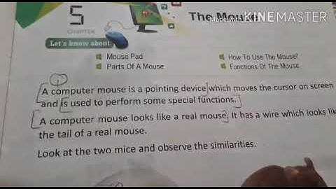 Class-1 Computer L-5 The Mouse (Part-1)