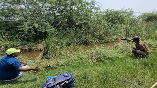 Best Small Hook Fishingfisherman Catching Tilapua Fishes In Village Pondunique Fishing Video