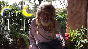 O que aconteceu com os hippies?