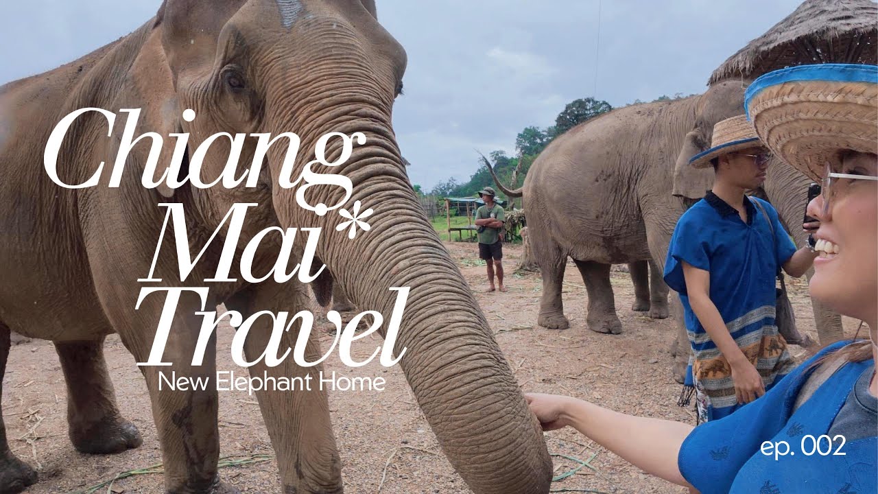 A day with the Elephants at New Elephant Home - Chiang Mai, Thailand
