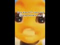 Wrong answers only
