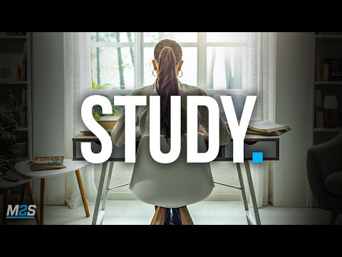 STUDY HARD, WORK HARDER - Best Self Discipline Motivation Compilation for Success & Students
