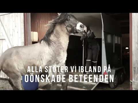 Video: Sammanfogning Av Led I Hästar