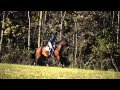 2011 Rubicon Horse Trials - Autumn - Prelim.