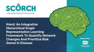 iHerd: An Integrative Hierarchical Graph Representation Learning Framework to Quantify Network...