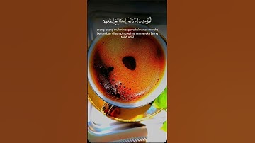 اللهم أجعل القرآن الكريم ربيع قلوبنا ونور صدورنا #قرآن #قران_كريم #قهوتي #صلوا_علي_سيدنا_محمدﷺ