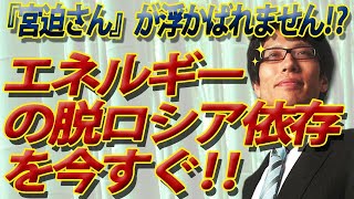 エネルギーの脱ロシア、今すぐ！このままでは『宮迫さん』が浮かばれない！？｜竹田恒泰チャンネル2