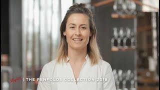 Introducing The Penfolds Collection 2018