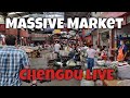 BIGGEST Farmers' Market I've seen in China!! Logistics + Wholesale Markets in Chengdu