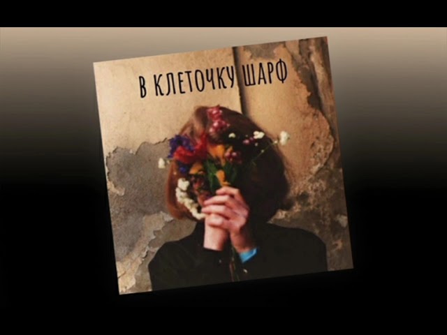 алены швец шарф. в клеточку шарф алена швец альбом. алены швец шарф. алена швец 2023. алена швец вес.