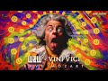 Ww x vini vici  rave mozart