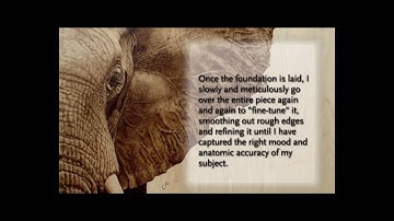 Wildlifeart Revealed, Julie Bender