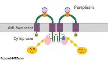 Two-component systems