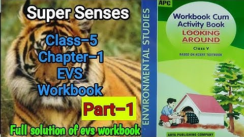 Super Senses Class 5 EVS- Workbook Chapter-1 (Part-1) fully solved exercise @NCERTTHEMIND