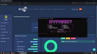 Bypassing ScreenShare With NullClient