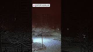 Gönüller Hiç Yas Tutar Mı 🎶❄️🥃