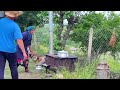 Natural Food Cooking in Village / Farm to Table Recipes / Off-Grid Living Family