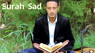 Surah Sad  تلاوة القرآن الكريم -سورة ص -    بصوت محمد أحمد الإثيوبي   #Quran#kuran#ቁርአን #古蘭經 #قرآن