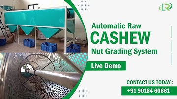 Heavy-Duty Raw Cashew Grading Machine⚙️Automatic Raw Cashew Grader🛠️Cashew Nut Processing Equipment