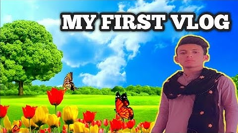 my first vlog,my first vlog viral,my first vlog viral kaise kare,my first vlog viral trickfirst vlog