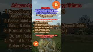 Download Lagu Naga Tahun #weton#neptu#jodoh#primbon#pasaranjawa#nagatahun MP3