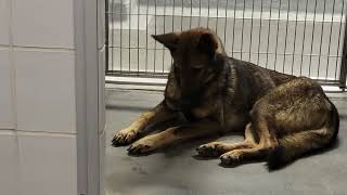 acs A689567