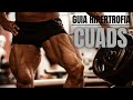 Como ENTRENAR Las PIERNAS Correctamente