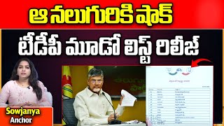 TDP Releases Third List of MLA and MP Candidates | Chandrababu | AP Elections 2024 | Wild Wolf