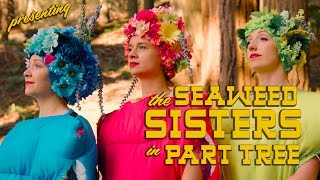 The Seaweed Sisters : Part Tree