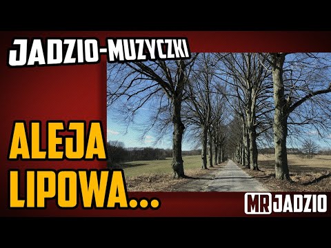 Aleja lipowa -