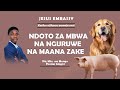UKIOTA MBWA AU NGURUWE INAMAANA GANI MAANA ZAKE ZIPO MTU WA MUNGU ANAELEZEA