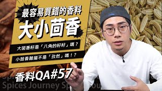 【香料QA#57】最容易買錯的香料-大茴香跟小茴香｜藥食兩界對茴香的稱呼大不同｜教你如何買到你要的茴香！｜味旅Spices Journey