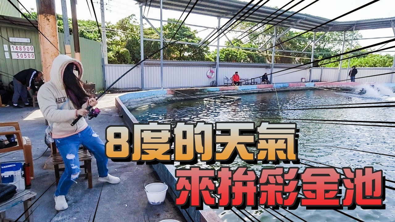 【台客去釣魚】台北8度超低溫！休池4天的魚到底會不會咬！ feat.社子海釣場