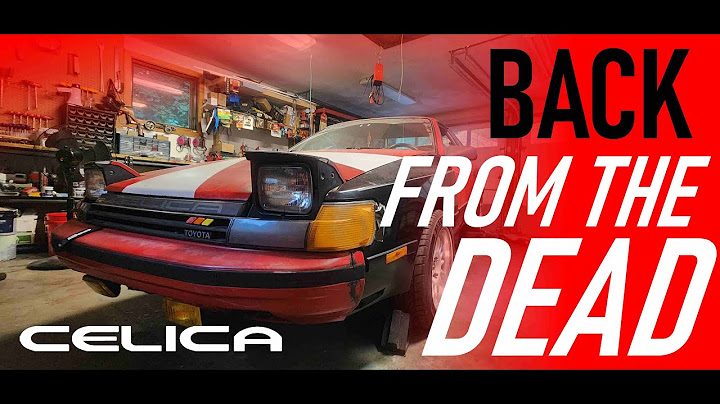 Fixing My ABANDONED Project Car