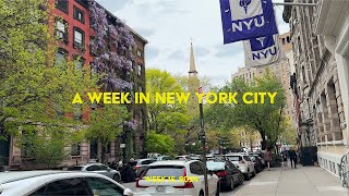 Life in NYC: cycling in the city (Midtown, Broadway), Madison Sq Park, helmet giveaway, Nom Wah, etc