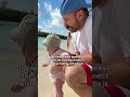 You realize your properties are earning double, all while you're spending time with your little one